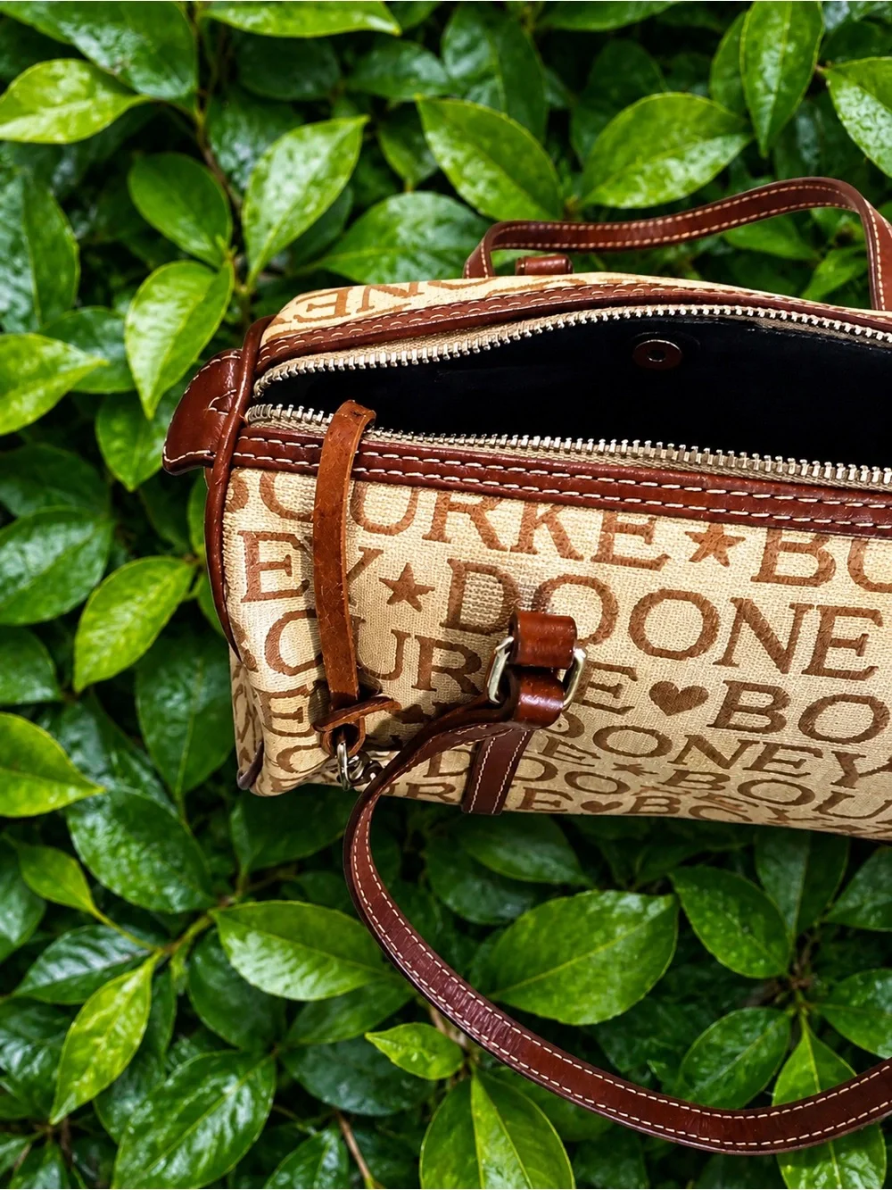 Dooney & Bourke stylish brown